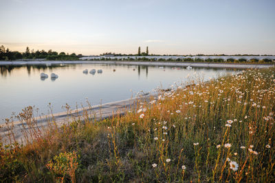 Scenic view of lake against sky during sunset