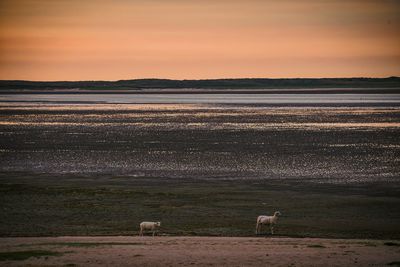 Scenic view of landscape against sky during sunset