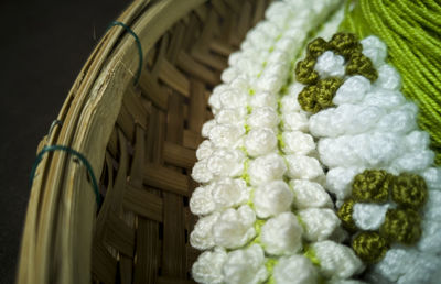 Close-up of white flowers