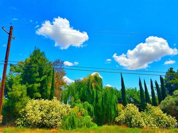 Trees on field against cloudy sky