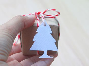 Close-up of hand holding christmas gift