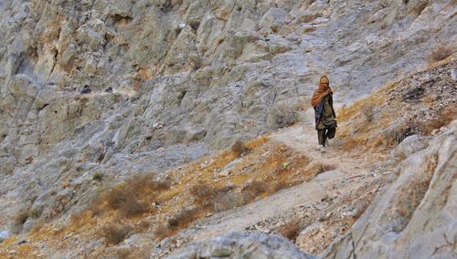 Rear view of man climbing on mountain