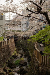 View of old building