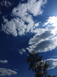 Low angle view of tree against sky