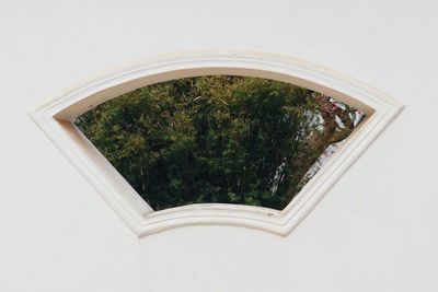 Green trees against white wall