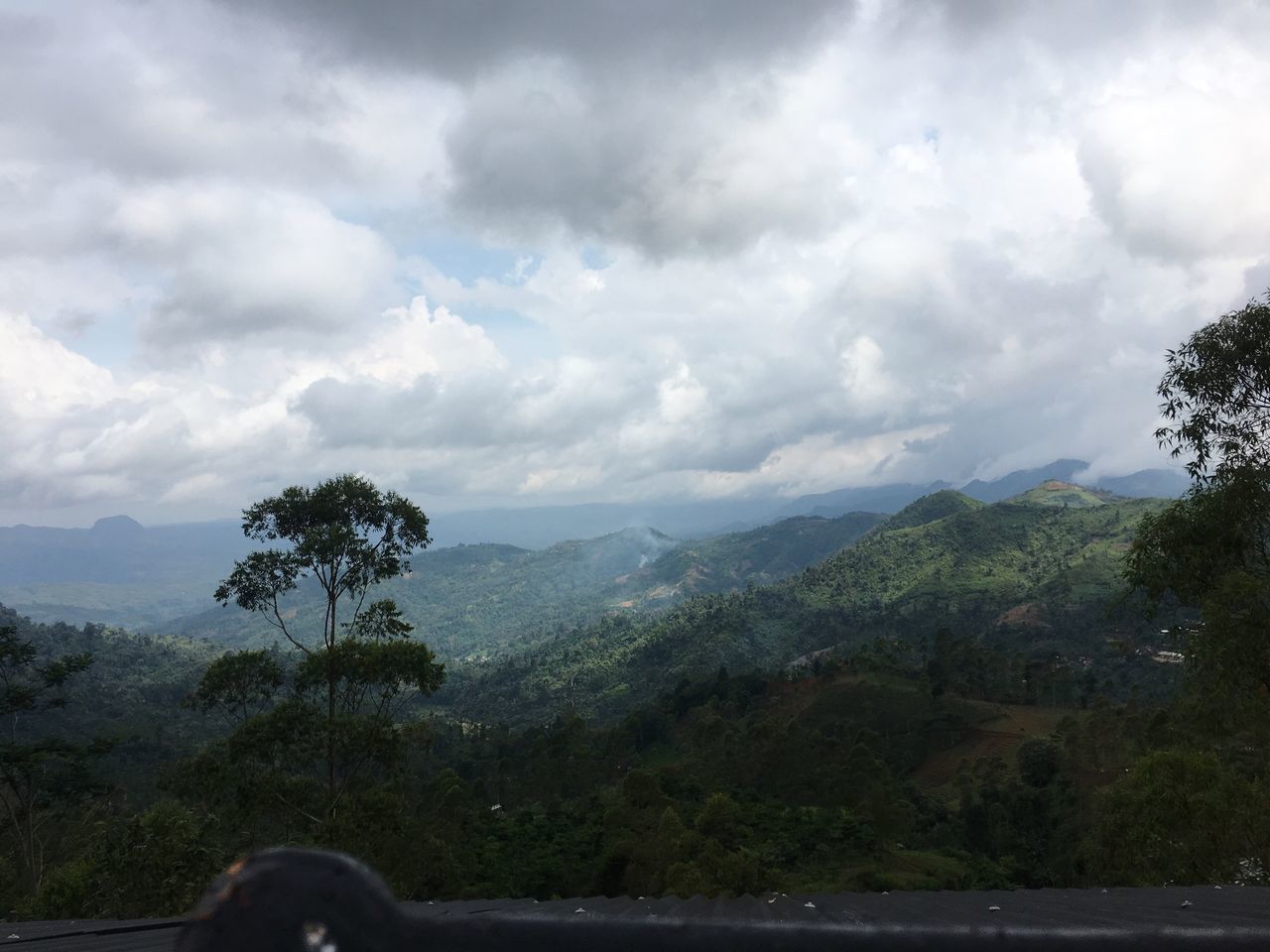 SCENIC VIEW OF TREE MOUNTAIN AGAINST SKY