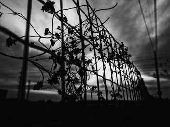 Low angle view of silhouette fence against sky