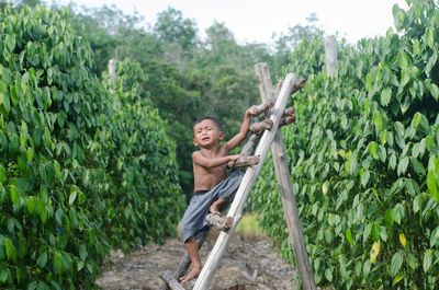 Shirtless boy crying on ladder against plants