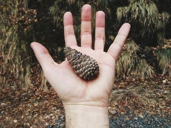 Close-up of cropped hand