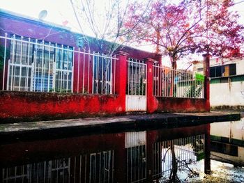 Reflection of trees in greenhouse