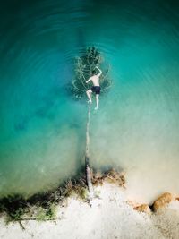 View of jellyfish swimming in sea