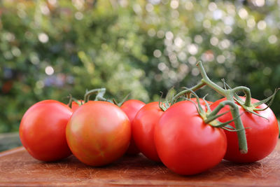 Close-up of tomatoes on table