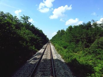 Railroad tracks amidst trees against sky