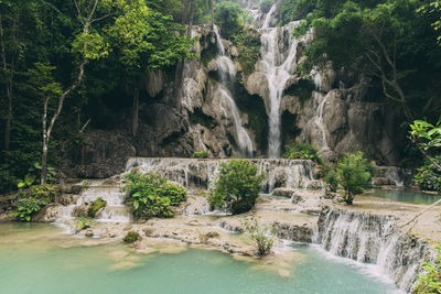 Scenic view of waterfall in forest