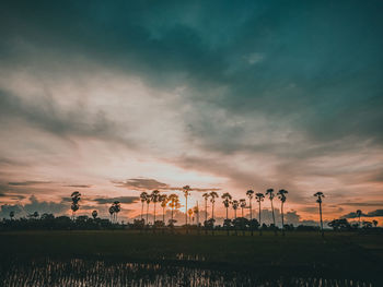 Scenic view of field against sky at sunset