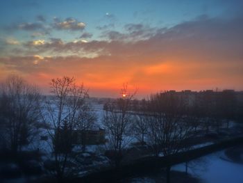 Bare trees at sunset