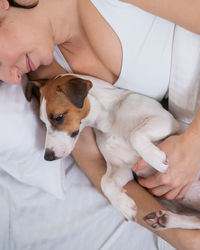 Close-up of dog relaxing on bed at home