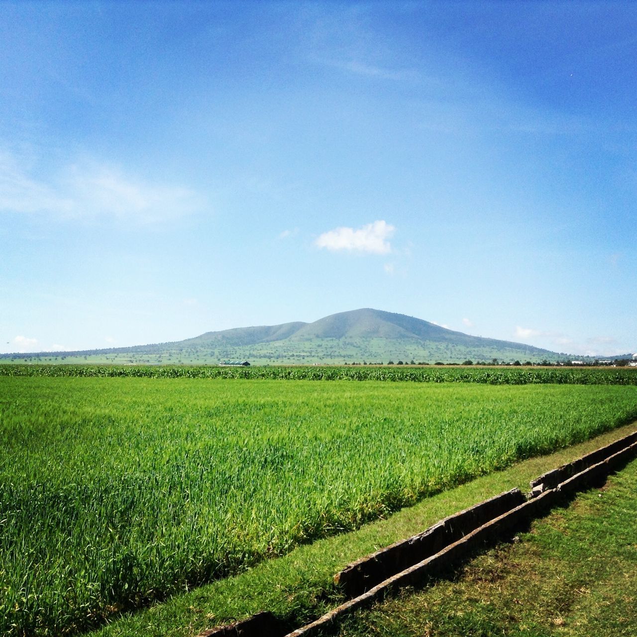 landscape, agriculture, field, tranquil scene, rural scene, tranquility, sky, farm, beauty in nature, nature, green color, scenics, mountain, growth, crop, blue, grass, transportation, cultivated land, railroad track