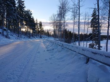 Snow covered road by trees against sky