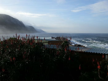 Scenic view of sea against cloudy sky