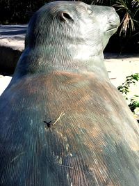 Close-up of bird in zoo