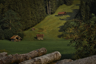 Scenic view of trees and houses on field