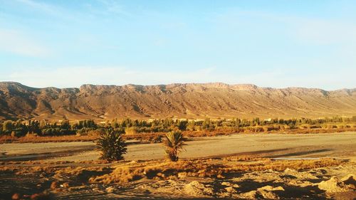 Scenic view of landscape against sky