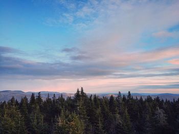 Scenic view of landscape against cloudy sky