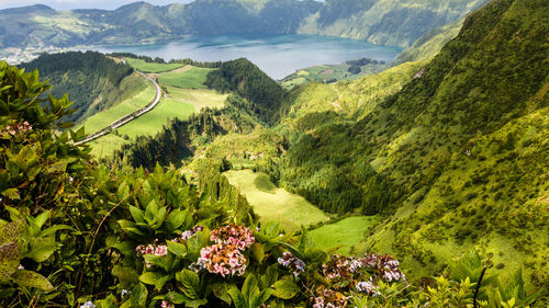 High angle view of trees, ponds  and mountains