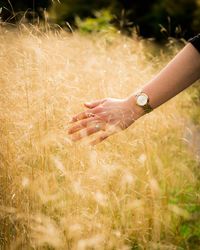 Close-up of woman hand on grass in field