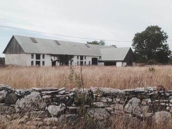 Houses in the field