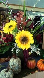 Close-up of multi colored flowers