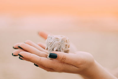 Cropped hand of woman holding seashell