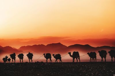 Group of silhouette people on mountain during sunset