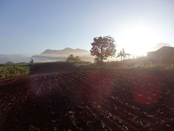 Scenic view of landscape against sky