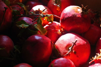 Close-up of fruits