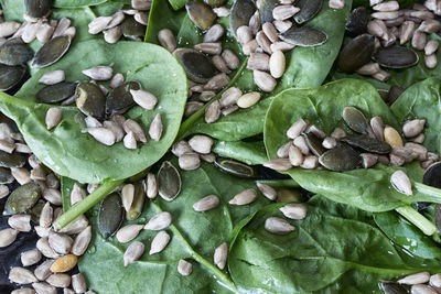 High angle view of chopped leaves