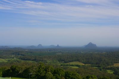 Scenic view of forest against sky