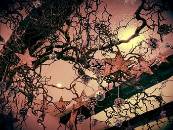 Close-up of tree against sky at sunset