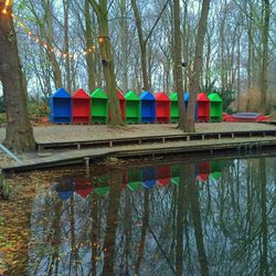 Reflection of trees in water