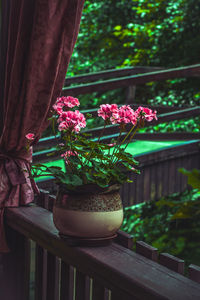 Close-up of pink flower pot on potted plant