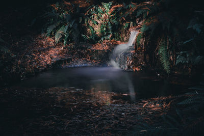 Waterfall in forest