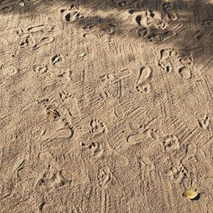 Full frame shot of sand
