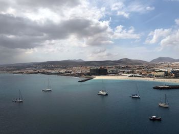 Sailboats moored in harbor