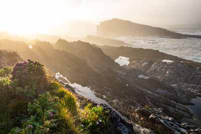 Looking at rocks at the coastline with green vegetation during sunrise 