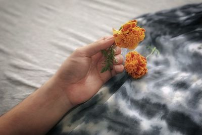 High angle view of person hand holding flowering plant