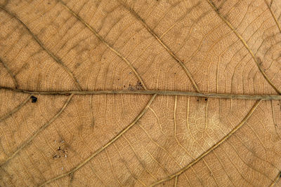 Full frame shot of textured floor