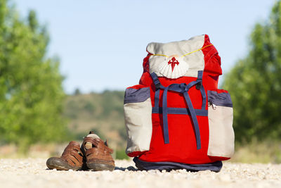 Close-up of stuffed toy