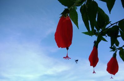 Low angle view of red flags hanging against sky