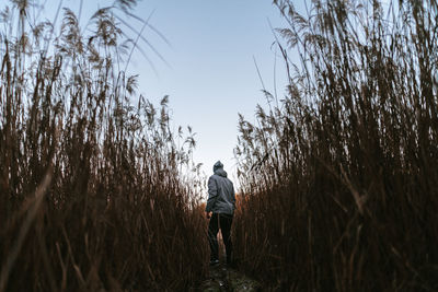 Rear view of man against sky